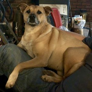 Meet your Posher, Destony